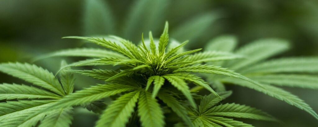 driving under the influence